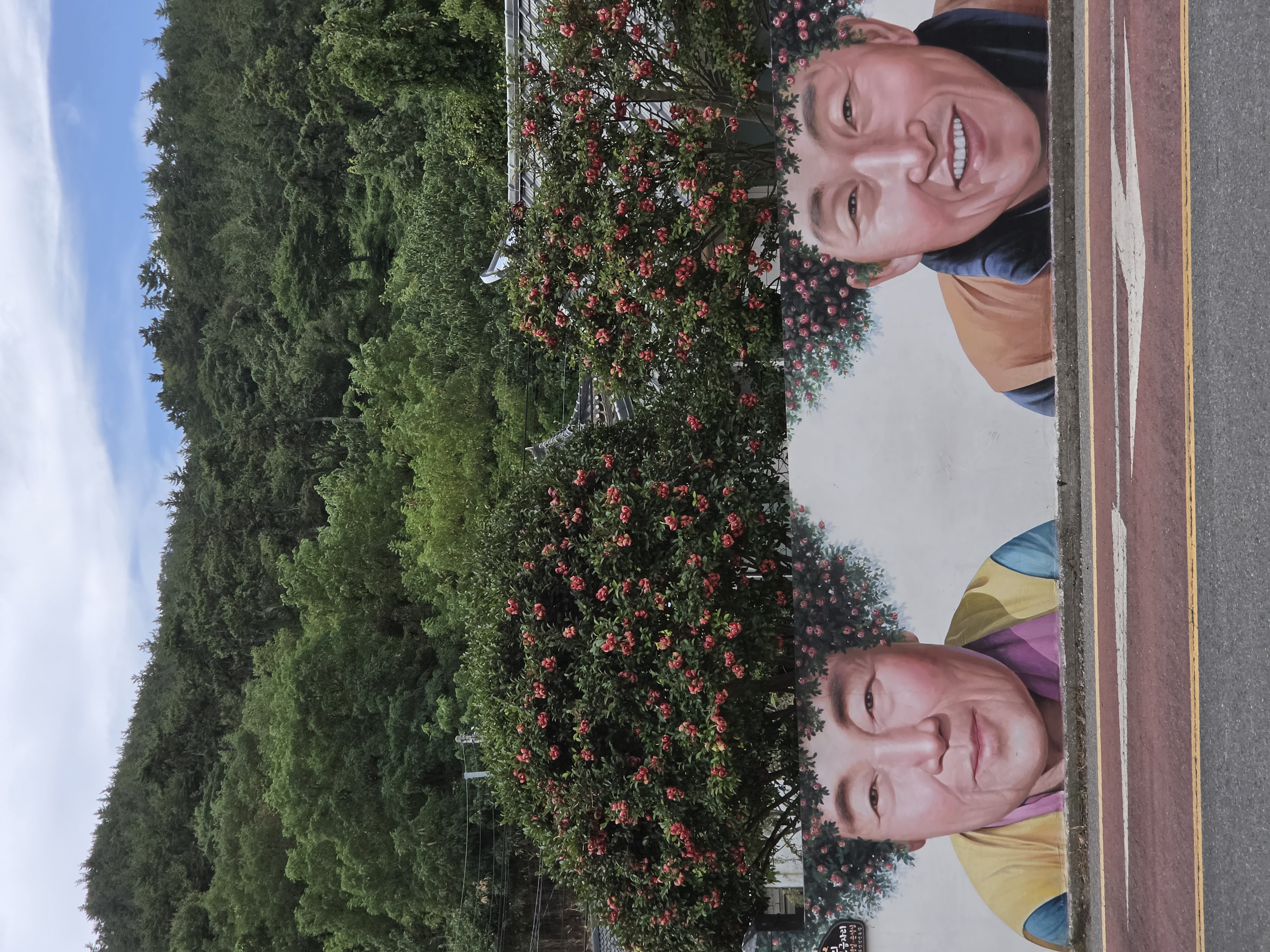 동백나무가 머리카락처럼 자란 어르신 벽화 포토존